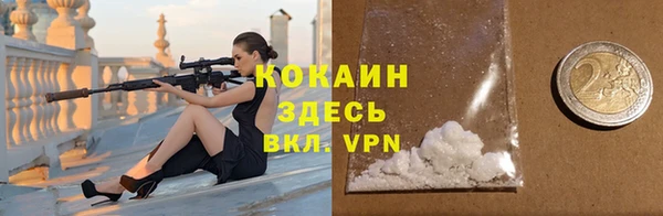 гидра Белокуриха