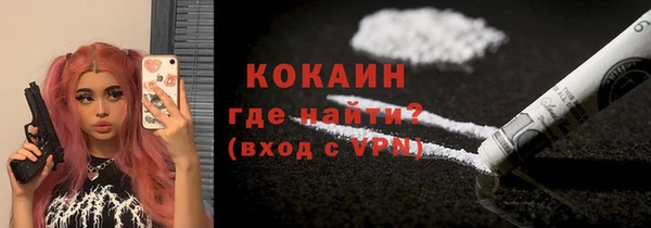 гидра Белокуриха