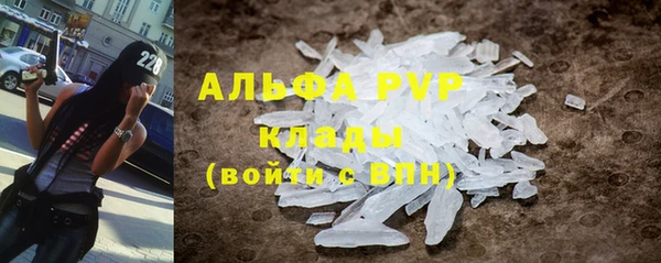 гидра Белокуриха