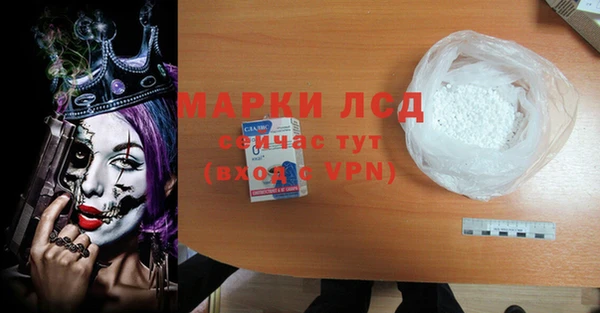 гидра Белокуриха